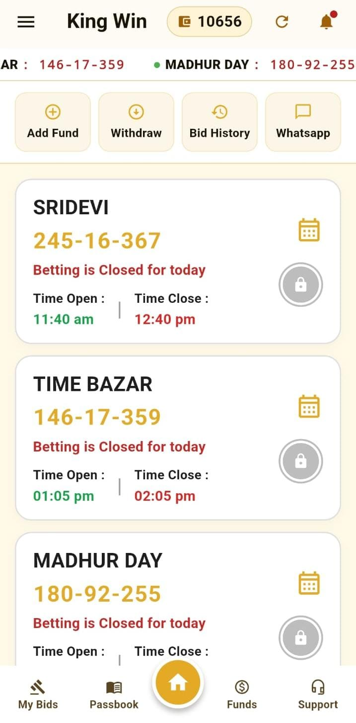 King Wins Satta Matka Mobile App Interface